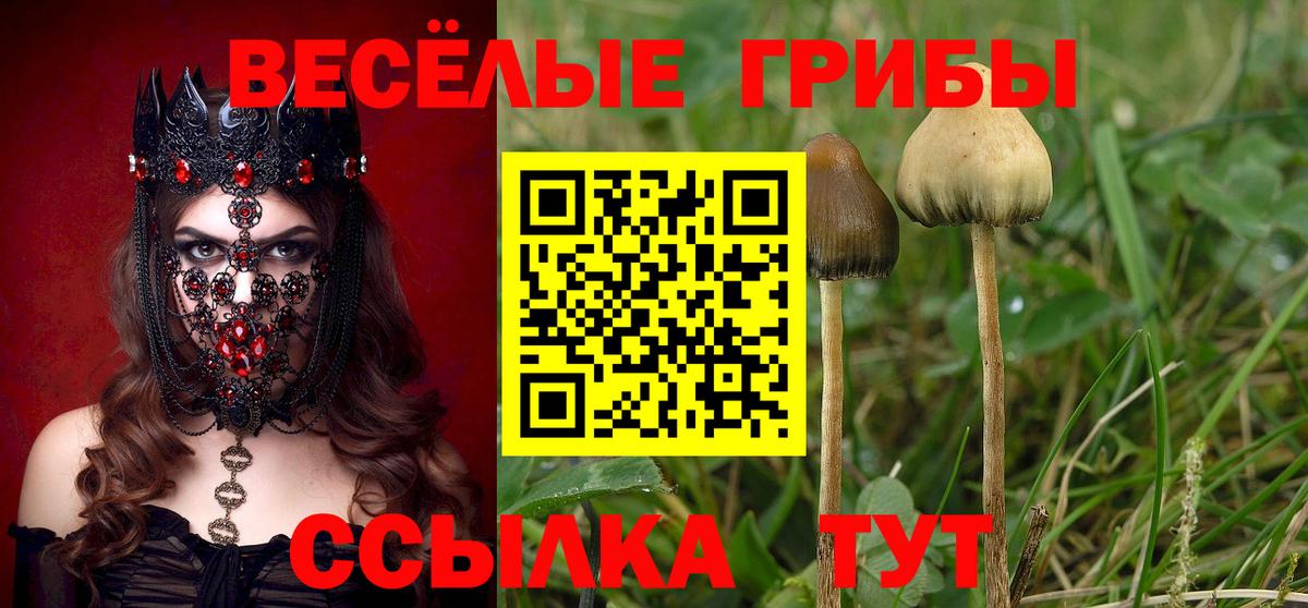 Псилоцибиновые грибы Cubensis Учалы