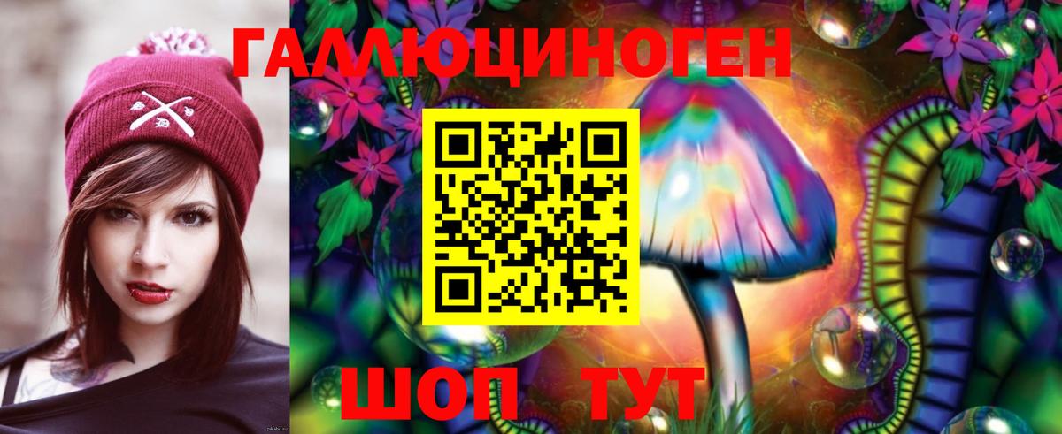 Галлюциногенные грибы Psilocybe  Вход с VPN  Учалы  Галлюциногенные грибы прущие грибы 